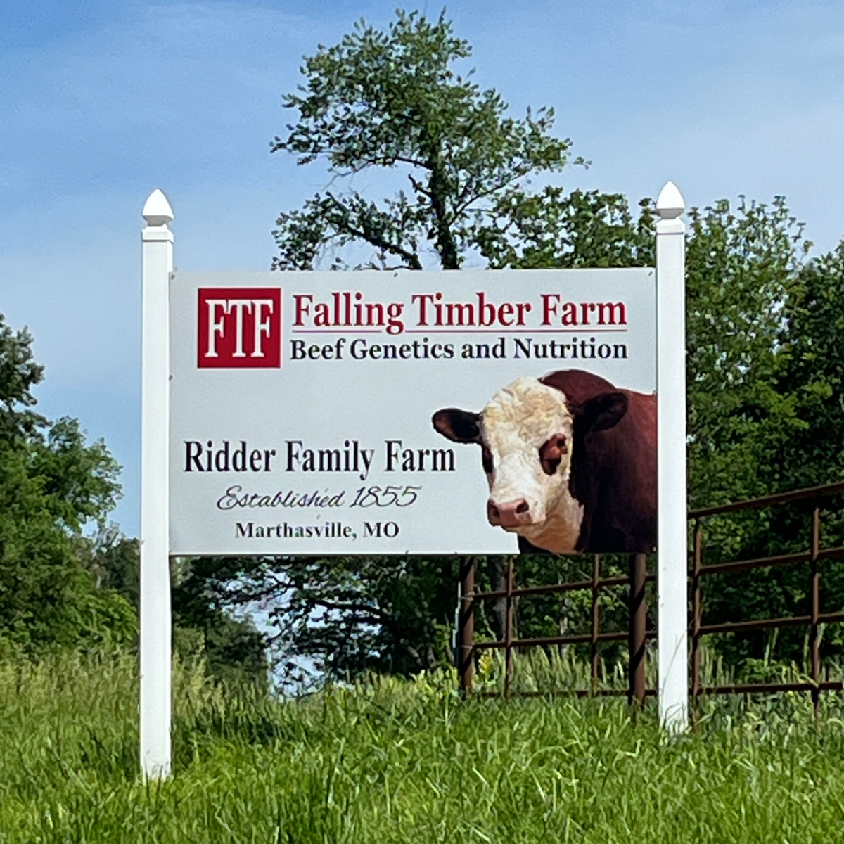 Falling Timber Farm